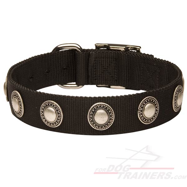 Nylon Pitbull Collar with Decorations