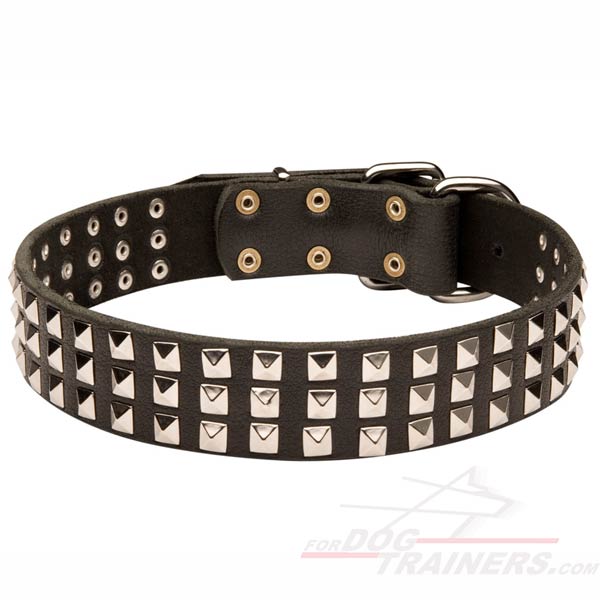 Leather Wide Dog Collar