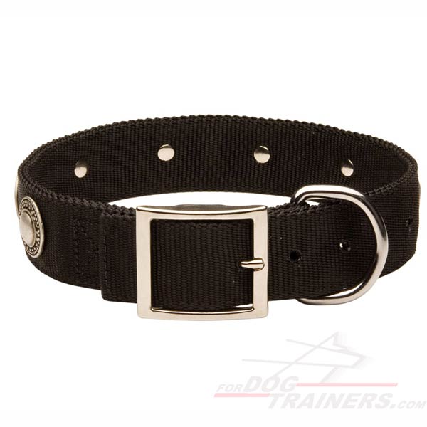 Super Strong Nylon Pitbull Collar