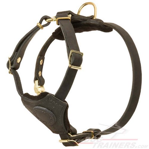 Leather best sale puppy harness