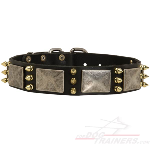 Gorgeous Leather Dog Collar with Inimitable Design