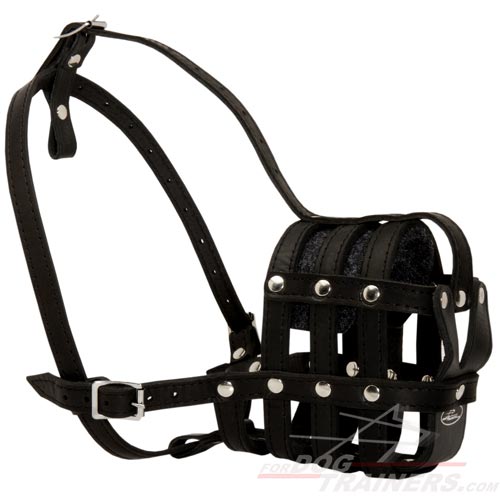 basket muzzle training