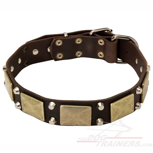 Top Quality Leather Dog Collar with Plates and Pyramids