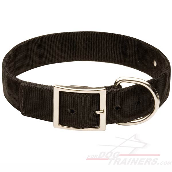 2 Ply Nylon Dog Collar with Blank Name Plate