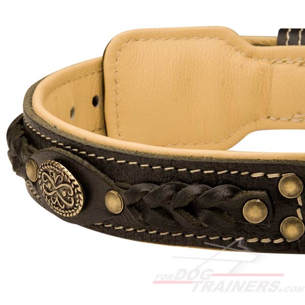 Stylish Nappa Padded Leather Cane Corso Collar
