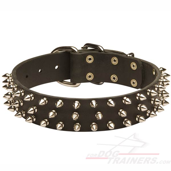 Classy Leather Dog Collar