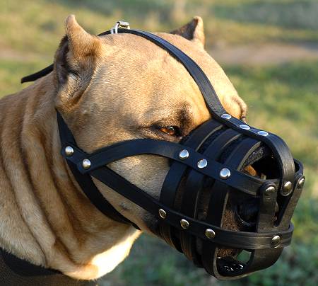 light dog muzzle