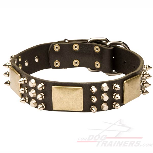 Leather Pitbull Collar with Decorations