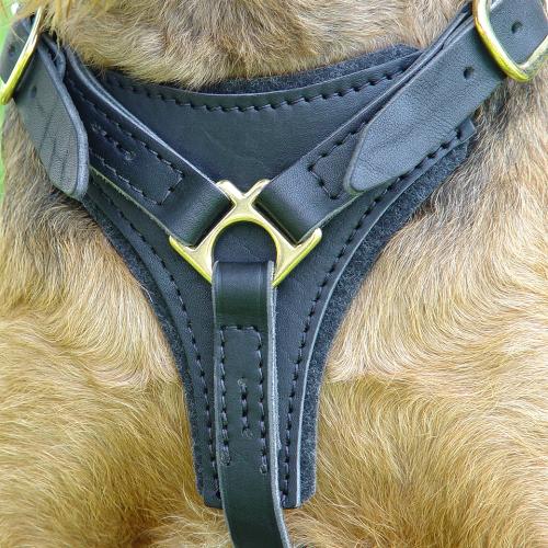 dog harness made out of chain