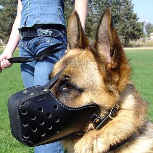 basket cage dog muzzle