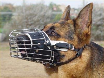 easy muzzle for dogs